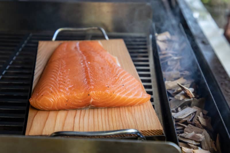 HOW TO MAKE HOT SMOKED SALMON - TEC Infrared Grills